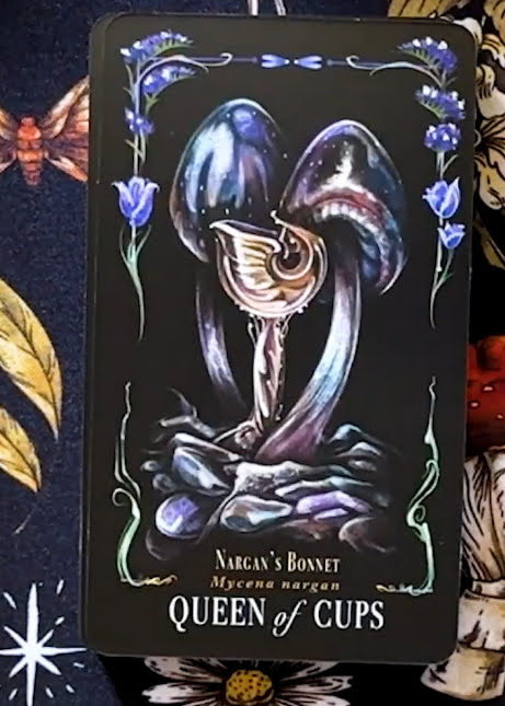 Midnight Magic: A Tarot Deck of Mushrooms